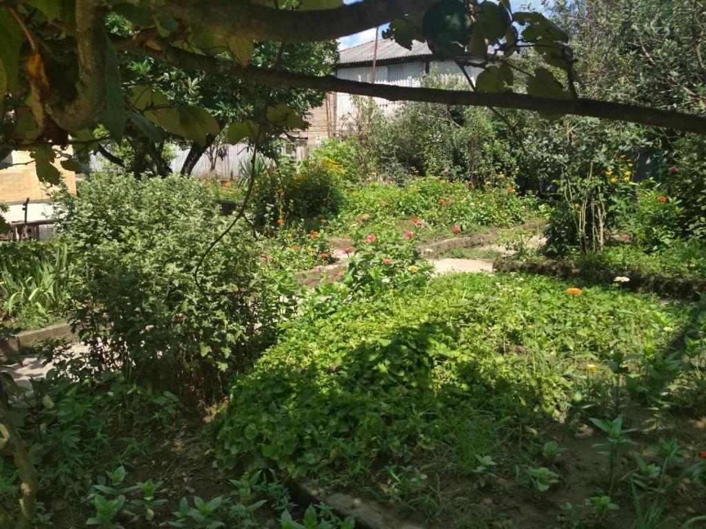 Samtredia Hotel G I O מראה חיצוני תמונה